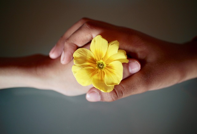 Two hands gently holding a yellow flower, with one hand clasping the other's wrist against a blurred neutral background
